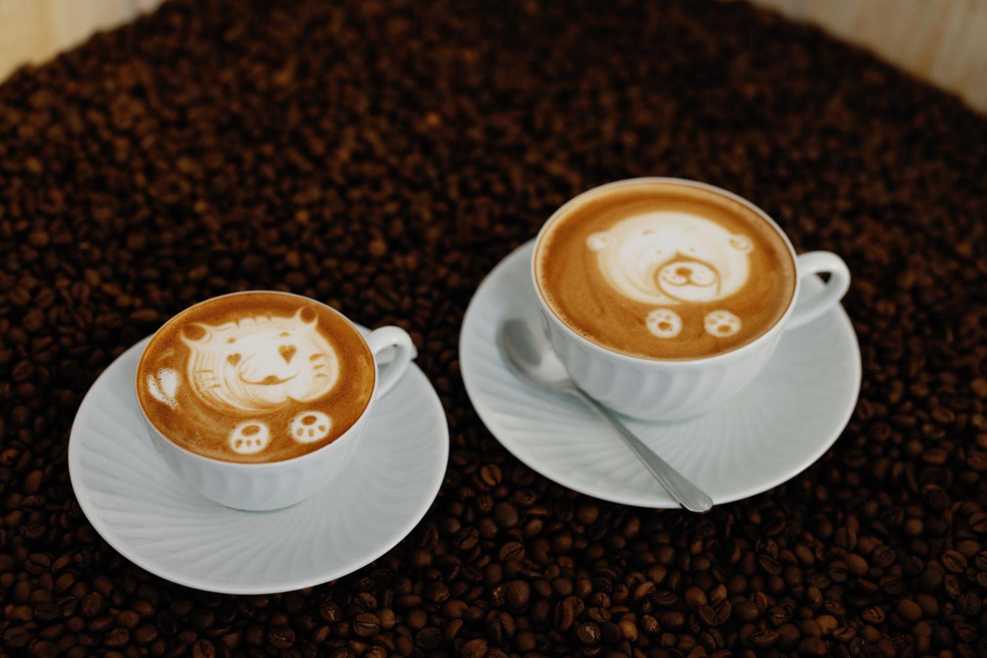 Palacio Do Visconde - The Coffee Experience Lizbona